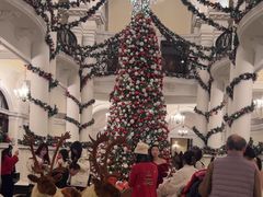 -Salon de Ville浦江汇(上海外滩华尔道夫酒店店)