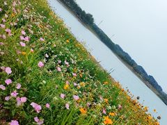-北龙湖湿地公园