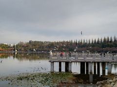 -洛龙公园