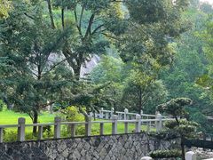 -大罗山风景区