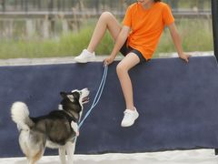 -汉长安城未央宫国家考古遗址公园