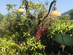 -自然餐厅(Phuket)