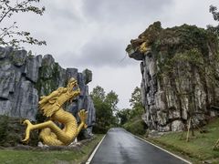 -宜兴龙背山森林公园