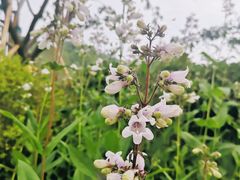 -幕燕滨江·长江观音景区