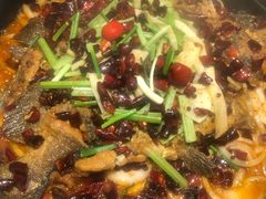 老板恋上鱼-老板恋上鱼(高新万达店)