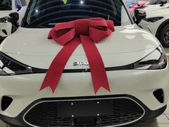 -上海浦东smart汽车全功能店(金桥店)