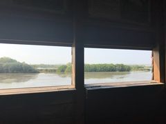 -大湾区中央湿地公园