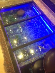 -MG Style Salon