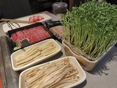 -海底捞火锅(牡丹园店)