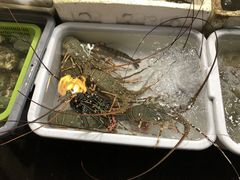 -拉威海鲜市场