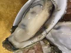 -蚝专家(北滘店)