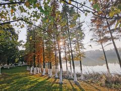 -艾溪湖湿地公园