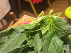 -芦月轩羊蝎子(劲松店)