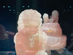 -中国地质博物馆