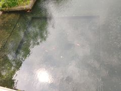 -九龙潭景区