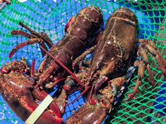 -麦德龙(郑东店)