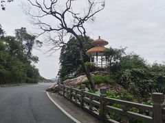 -广州市白云山风景名胜区