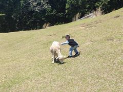 -神户市立六甲山牧场