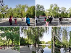 -丰台花园