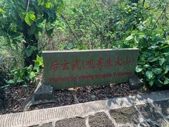 -海口火山口国家地质公园