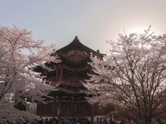 -西安青龙寺遗址景区