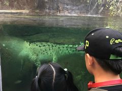 -悉尼海洋生物水族馆