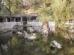 -国恩寺