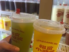 -福苗小骆驼烧烤(大唐不夜城店)