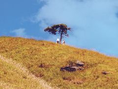 -萍乡武功山风景名胜区