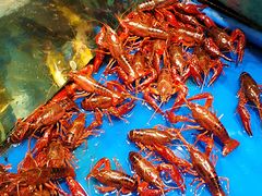 -AEON永旺(东方宝泰店)