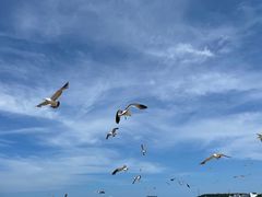 -海驴岛(荣成市)