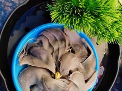 -一斗火锅·招财羊毛肚(泰吉滨江店)
