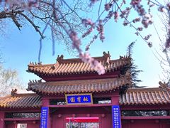 -桃花堤公园