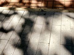-上海孙中山故居纪念馆