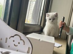 -纳吉亚猫专科动物医院博雅分院