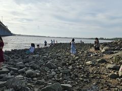 -宝安西湾红树林湿地公园