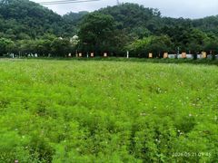 -红山村