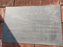 -凤栖山