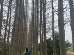 -上海长兴岛郊野公园