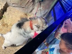 -酷嗒动物文化乐园(cutezoo西溪乐天城店)