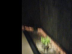 -泰之源足浴会所(玉环店)