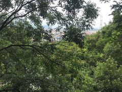 -云洞岩风景区
