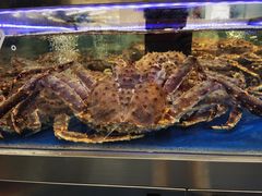 -盒马X会员店(上海森兰商都店)