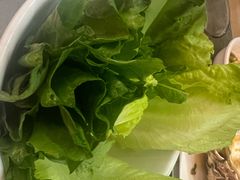 -嬷孙家潮汕牛肉火锅(北京路天河城店)