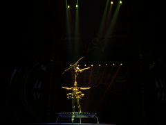 -珠海横琴长隆《卡卡虎奇遇记》