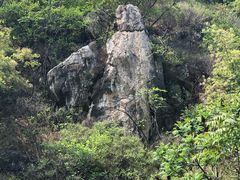 -府君山公园