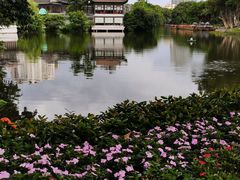 -荔湾湖公园