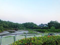 -大亚湾红树林城市湿地公园