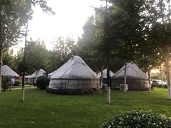 -九十九顶毡房(阜石路店)