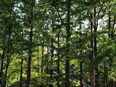 -阳台山自然风景区